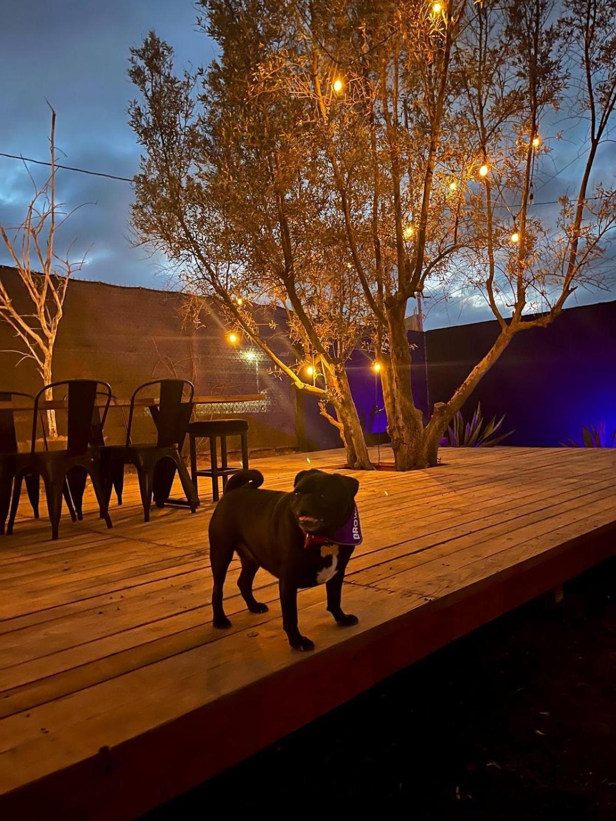 Finca Cazosa Valle de Guadalupe Exterior foto